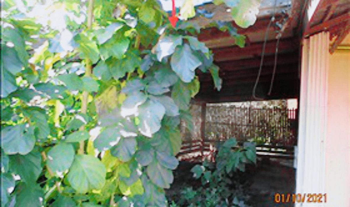 บ้านเดี่ยว พิษณุโลก พรหมพิราม ดงประคำ 1573000