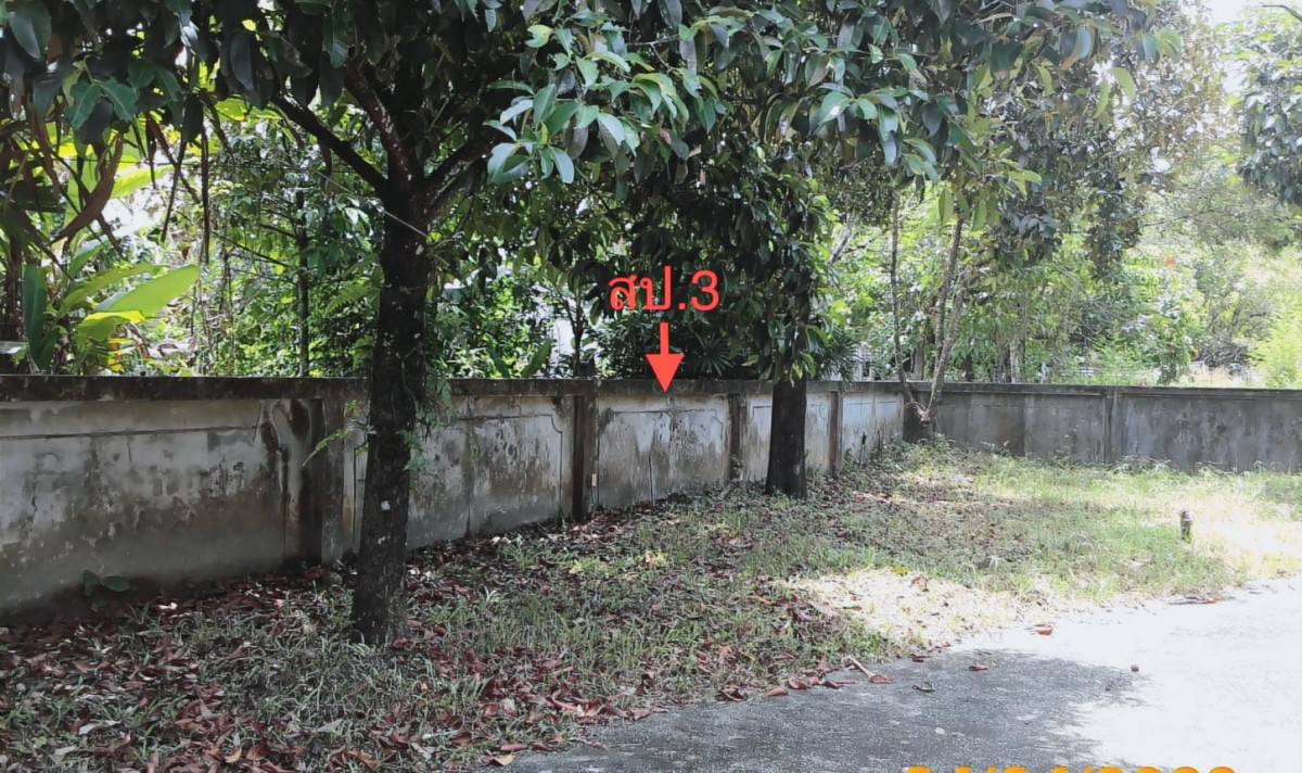 บ้านเดี่ยว พังงา ตะกั่วป่า บางนายสี 10547000