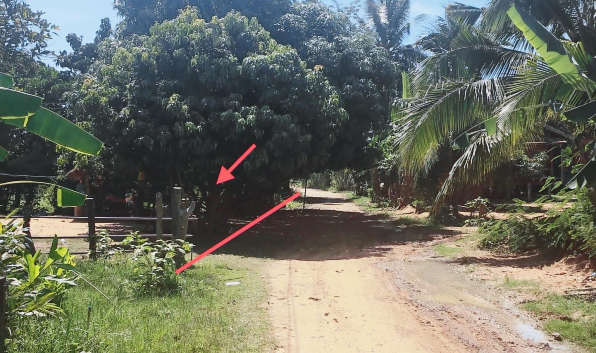 Single house Surin Buachet Ta Wang 536000