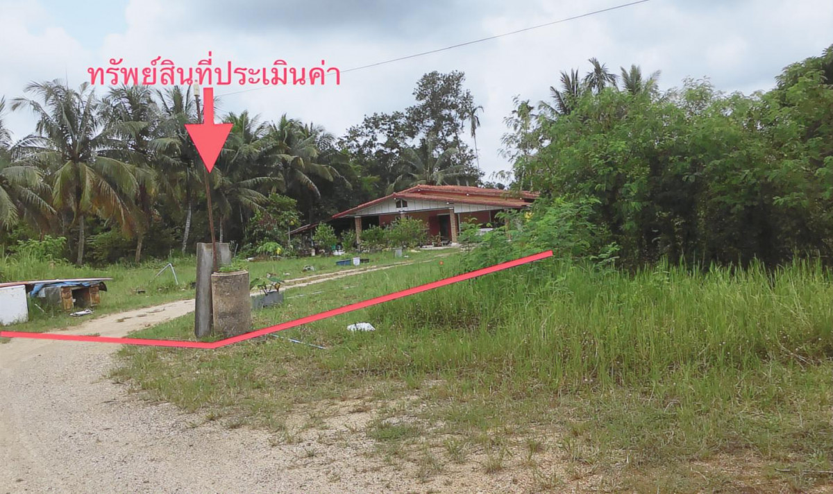 บ้านเดี่ยว ตรัง เมืองตรัง นาตาล่วง 4630000