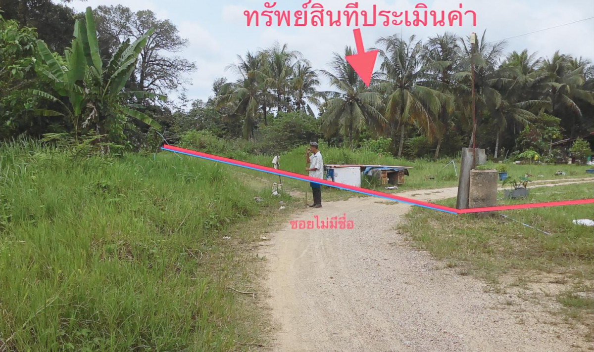 บ้านเดี่ยว ตรัง เมืองตรัง นาตาล่วง 4630000