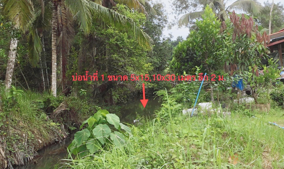 บ้านเดี่ยว ตรัง เมืองตรัง นาตาล่วง 4630000