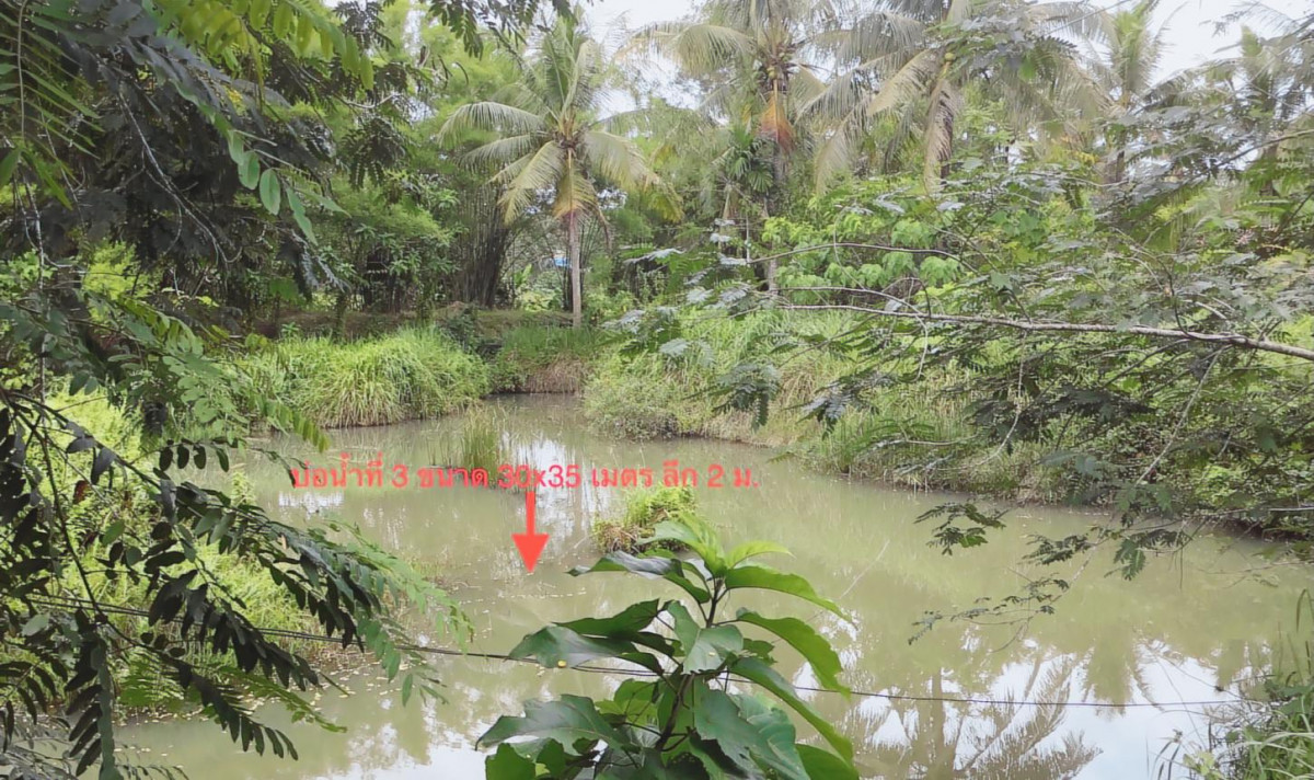 บ้านเดี่ยว ตรัง เมืองตรัง นาตาล่วง 4630000