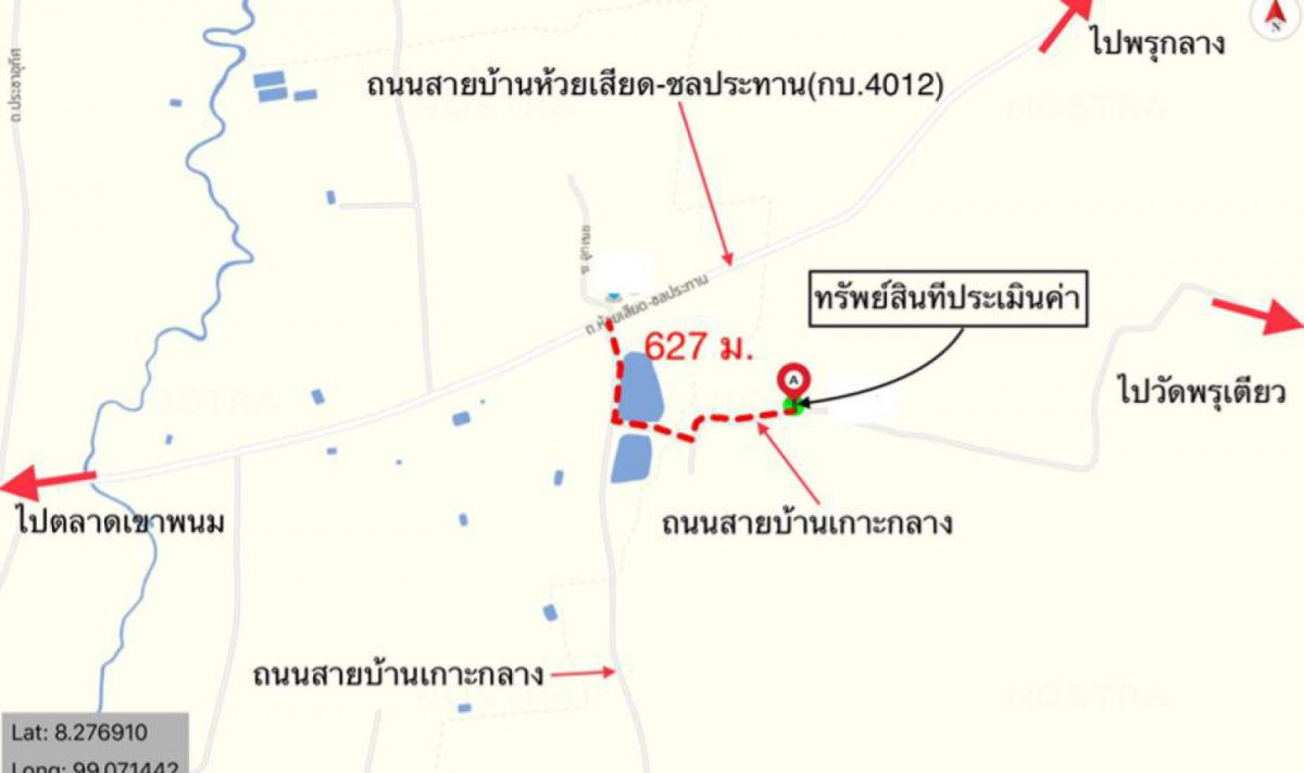 บ้านเดี่ยว - กระบี่ เขาพนม พรุเตียว 385000