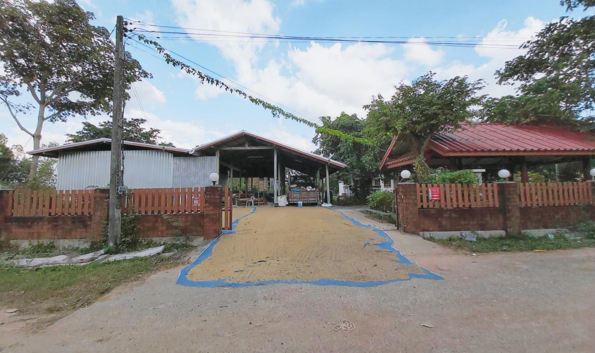 Single house Chumchon Ban Samrong Surin Prasat Nong Yai 2417000