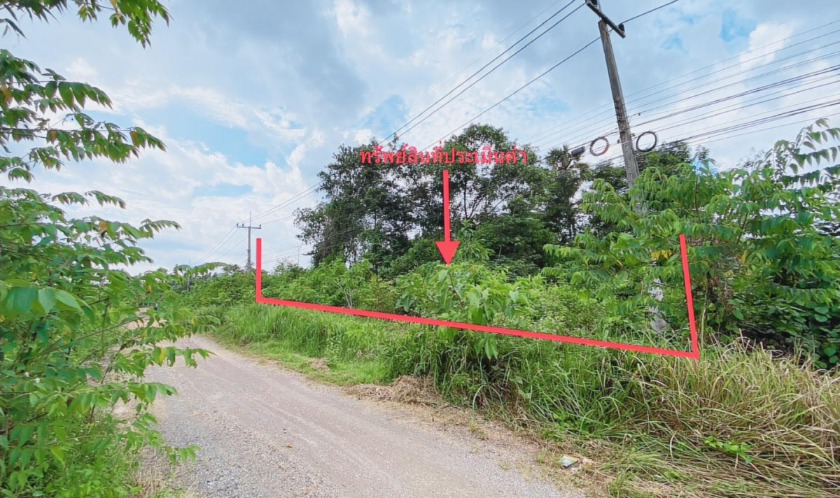 ที่ดินเปล่า สงขลา รัตภูมิ คูหาใต้ 14497000