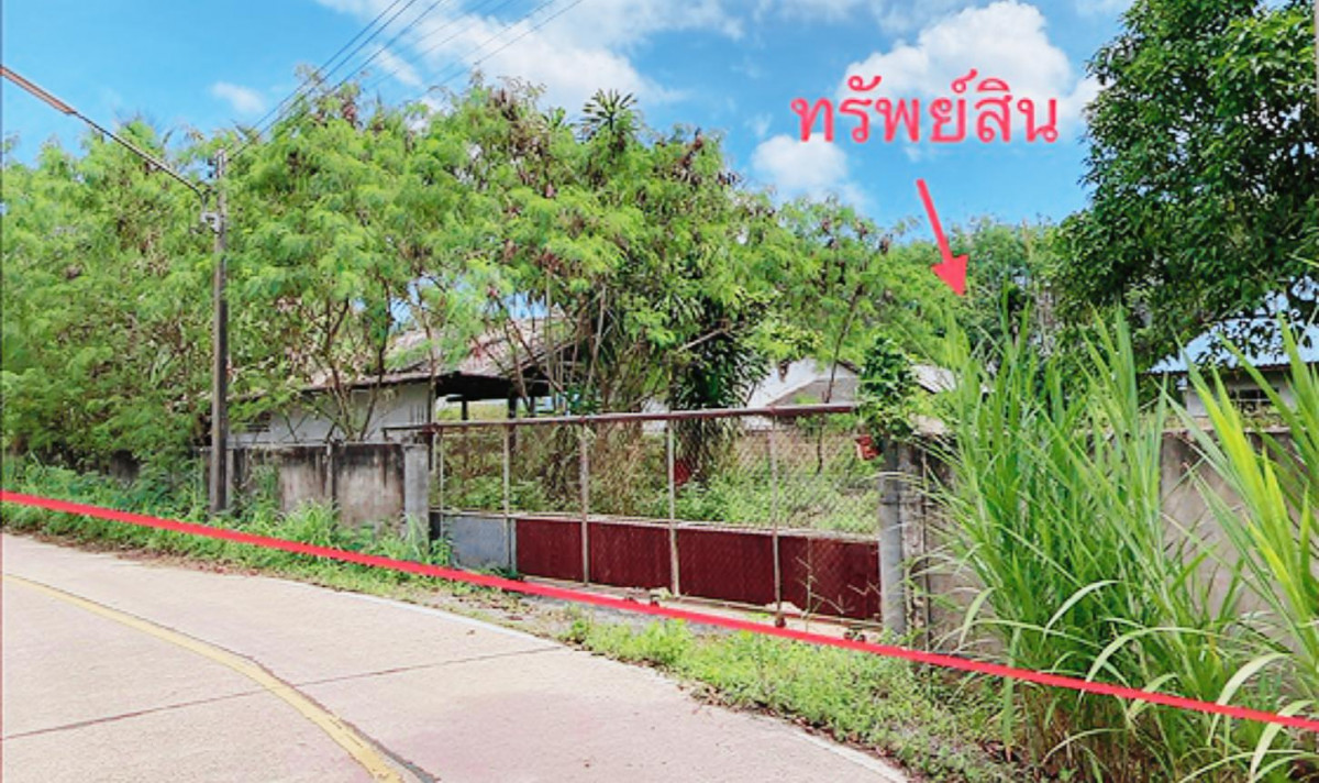 บ้านเดี่ยว สุราษฎร์ธานี เมืองสุราษฎร์ธานี มะขามเตี้ย 15595000