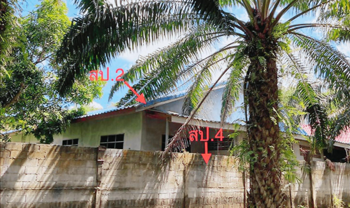 บ้านเดี่ยว สุราษฎร์ธานี เมืองสุราษฎร์ธานี มะขามเตี้ย 15595000