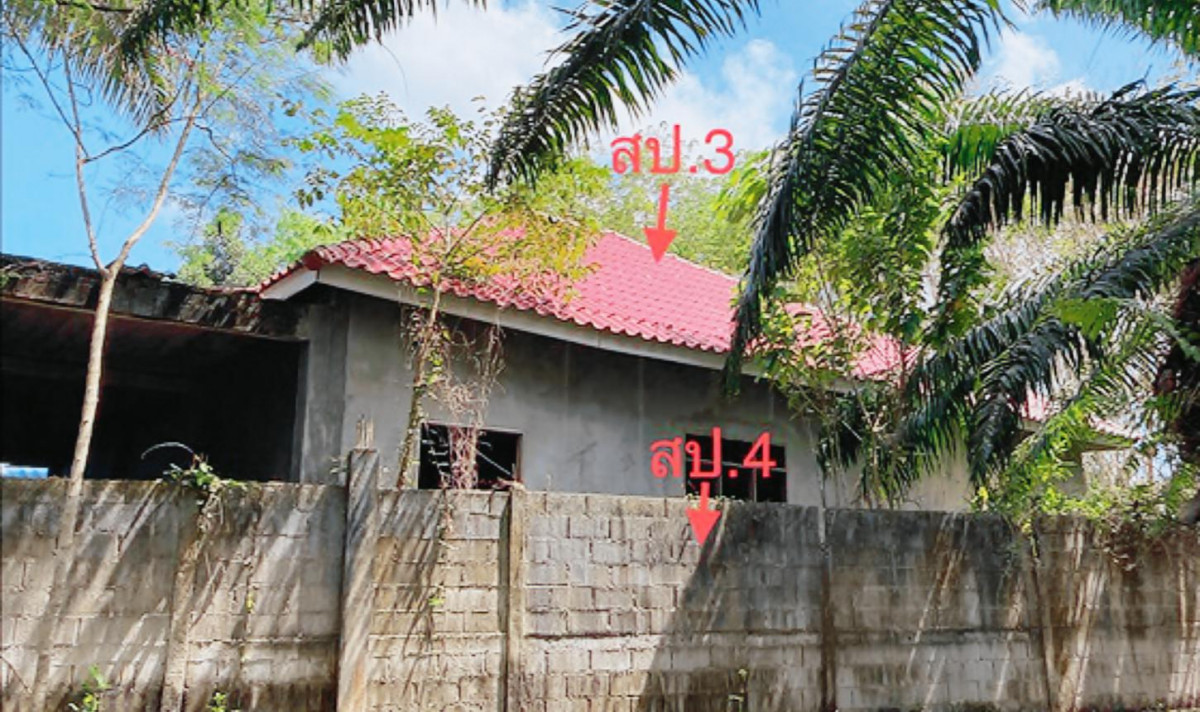 บ้านเดี่ยว สุราษฎร์ธานี เมืองสุราษฎร์ธานี มะขามเตี้ย 15595000