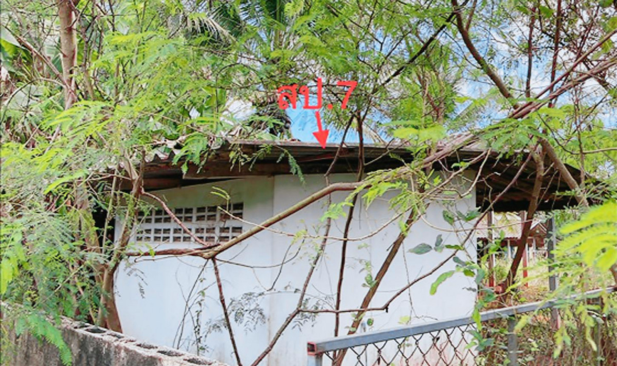 บ้านเดี่ยว สุราษฎร์ธานี เมืองสุราษฎร์ธานี มะขามเตี้ย 15595000