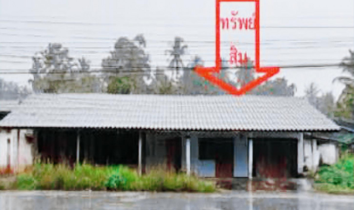 บ้านเดี่ยว ปัตตานี โคกโพธิ์ ทุ่งพลา 3462000