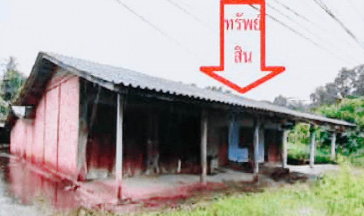 บ้านเดี่ยว ปัตตานี โคกโพธิ์ ทุ่งพลา 3462000