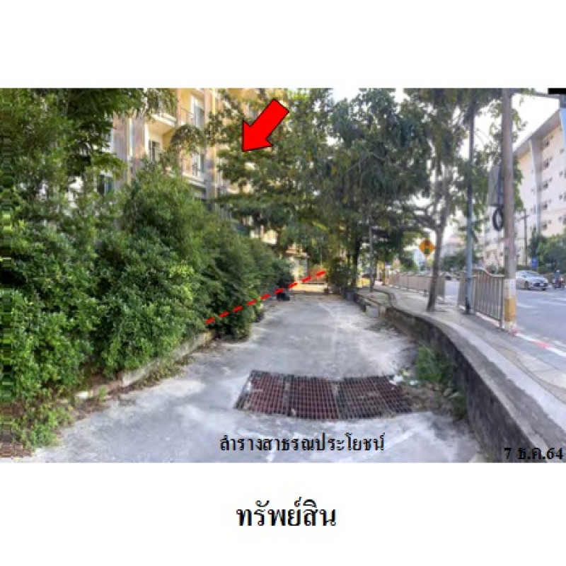 อื่นๆ ภูเก็ต กะทู้ ป่าตอง 176229400