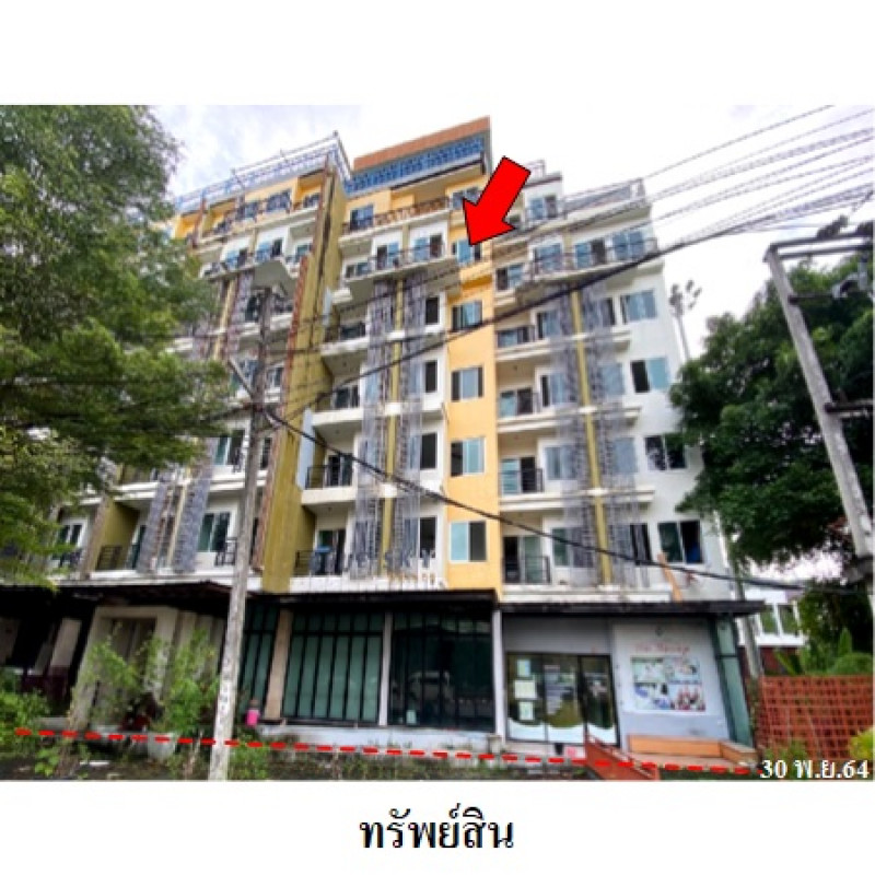 อื่นๆ ภูเก็ต กะทู้ ป่าตอง 176229400