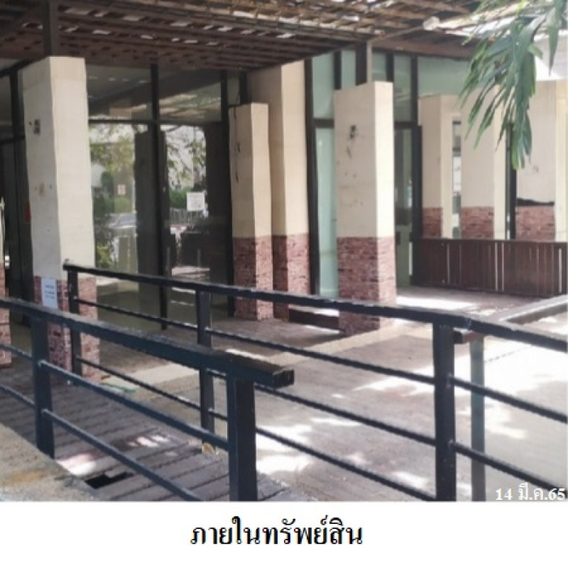 อื่นๆ ภูเก็ต กะทู้ ป่าตอง 176229400