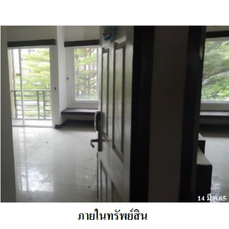 อื่นๆ ภูเก็ต กะทู้ ป่าตอง 176229400