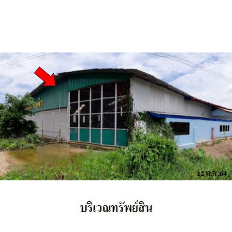 โรงงาน/โกดัง พะเยา เชียงคำ ร่มเย็น 9430000