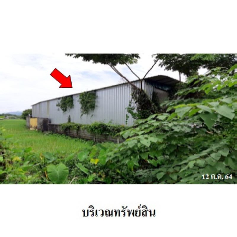 โรงงาน/โกดัง พะเยา เชียงคำ ร่มเย็น 9430000
