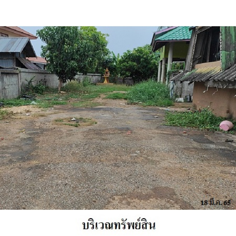 บ้านเดี่ยว มหาสารคาม กันทรวิชัย ศรีสุข 699000