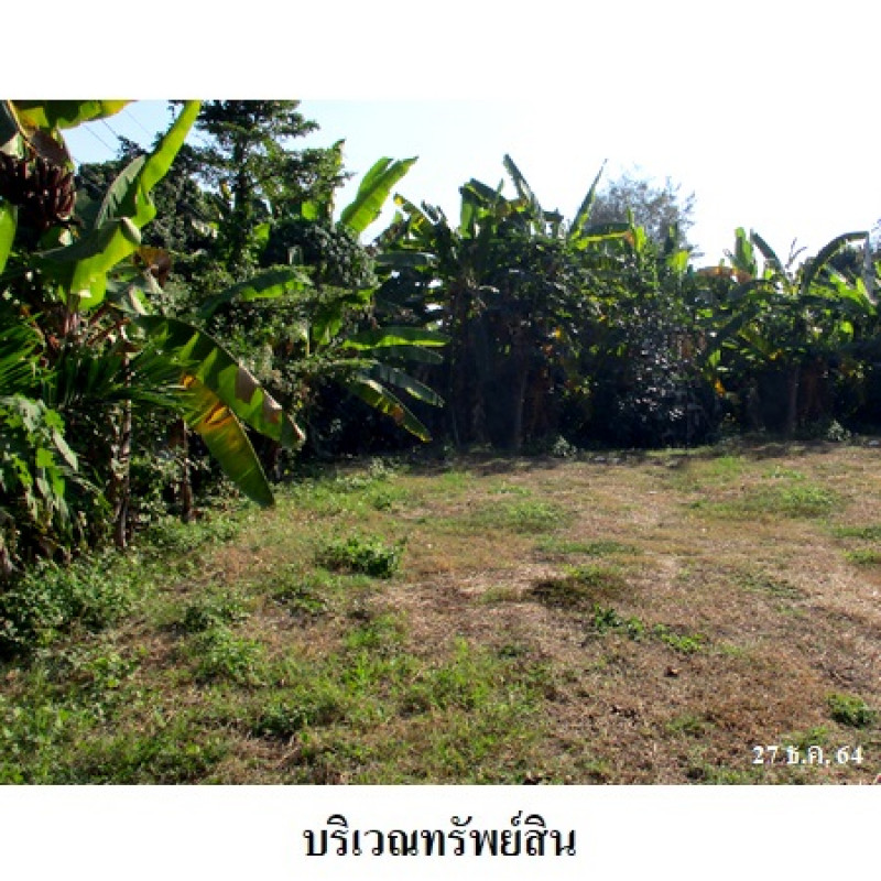 บ้านเดี่ยว เชียงใหม่ เมืองเชียงใหม่ แม่เหียะ 7000000