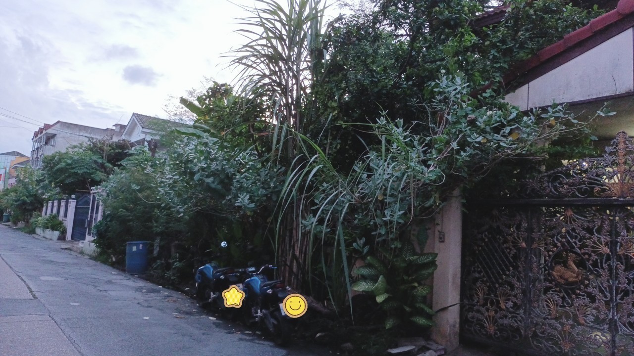 ที่ดินเปล่า กรุงเทพมหานคร มีนบุรี มีนบุรี 3000000