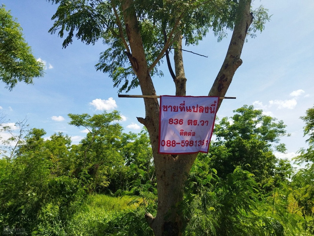 ที่ดินเปล่า ปทุมธานี ธัญบุรี บึงน้ำรักษ์ 4300000