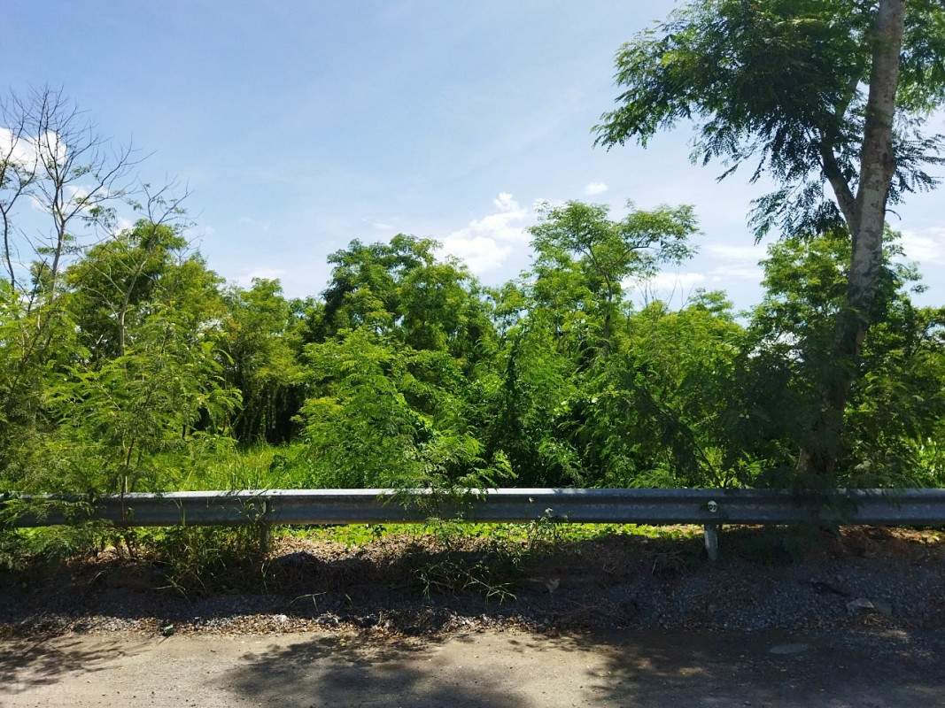 ที่ดินเปล่า ปทุมธานี ธัญบุรี บึงน้ำรักษ์ 4300000