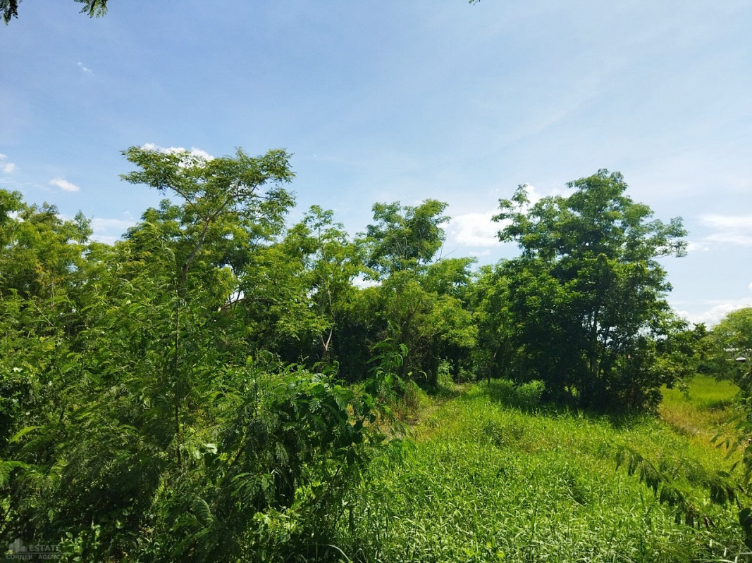 ที่ดินเปล่า ปทุมธานี ธัญบุรี บึงน้ำรักษ์ 4300000