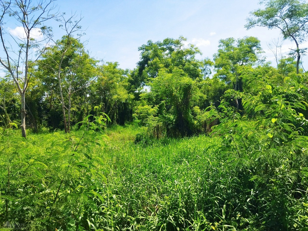 ที่ดินเปล่า ปทุมธานี ธัญบุรี บึงน้ำรักษ์ 4300000
