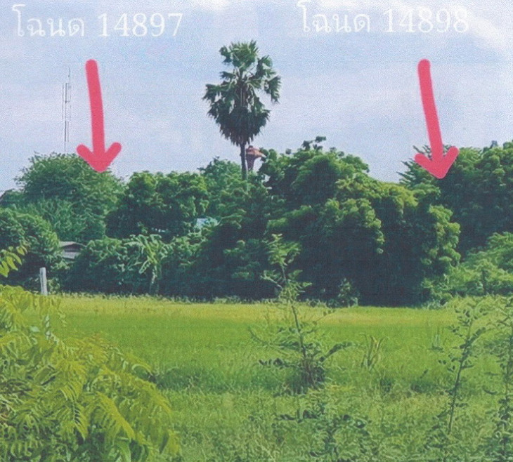 Residential land/lot Ang Thong Sawaeng Ha Sawaeng Ha 190500