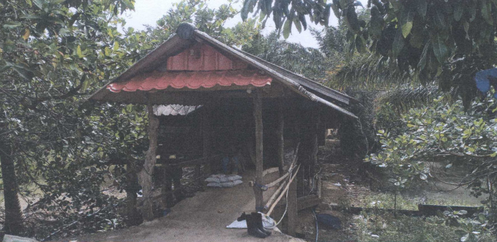 Single house Satun Mueang Satun Khuan Pho 353320
