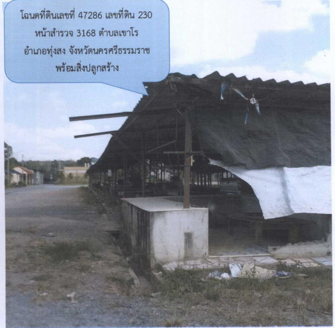 Townhouse Nakhon Si Thammarat Thung Song Khao Ro 127000