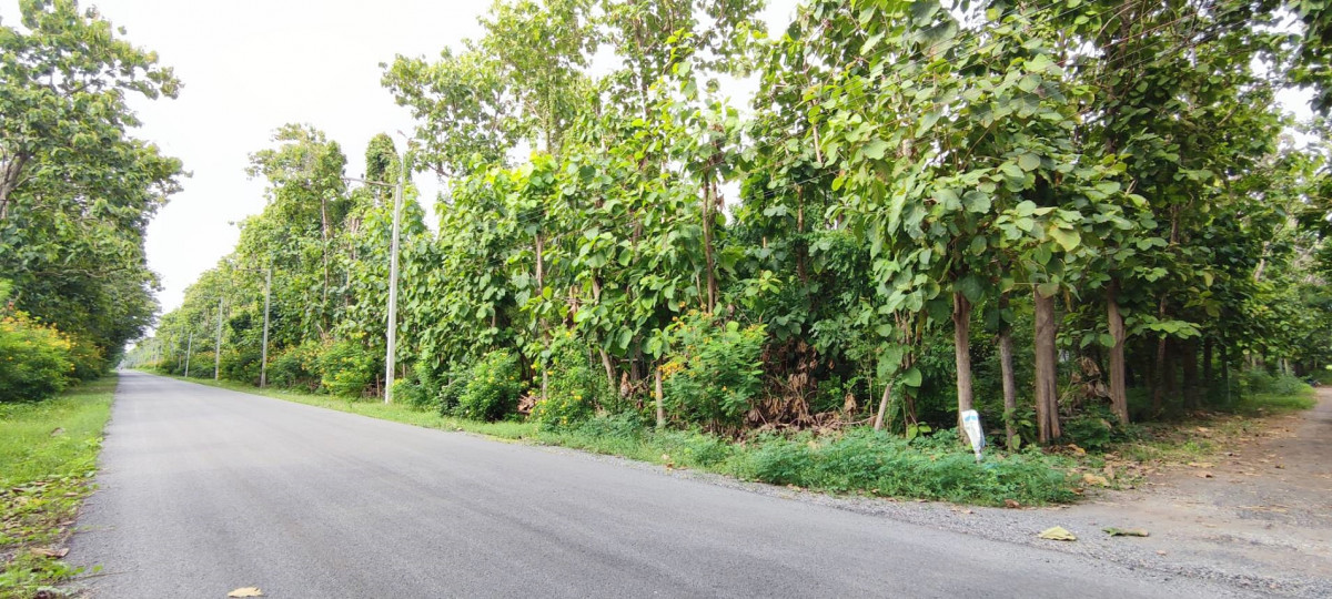 ที่ดินเปล่า สวนพฤกษา ทุ่งดินดำ รีสอร์ท สุพรรณบุรี อู่ทอง บ้านโข้ง 700000