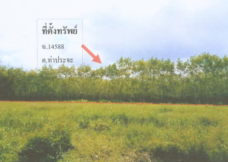 Residential land/lot Nakhon Si Thammarat Cha-uat Tha Pracha 291240