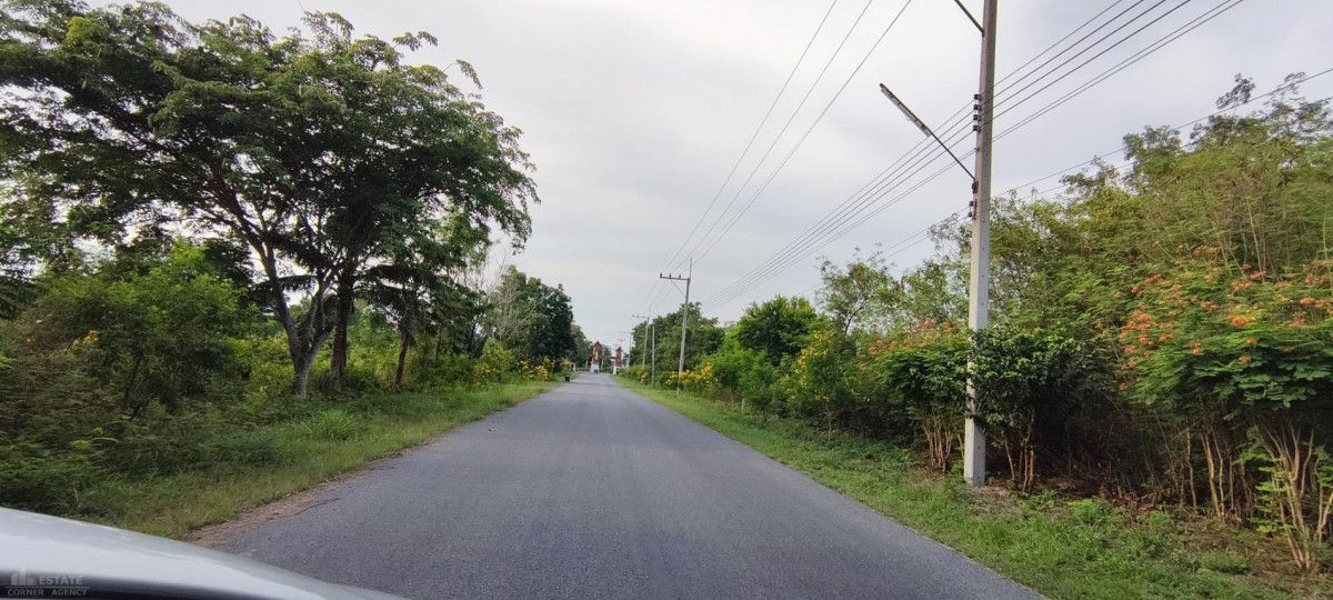 ที่ดินเปล่า ทุ่งดำรีสอร์ท แปลง C 129 สุพรรณบุรี อู่ทอง บ้านโข้ง 1100000