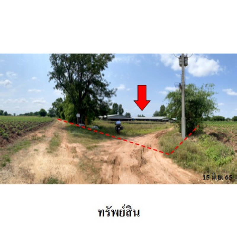 Misc. Nakhon Ratchasima Kham Thale So Nong Suang 6650000