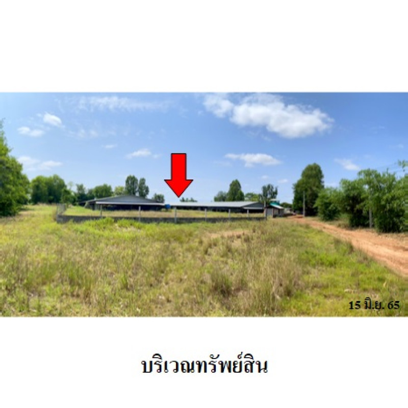Misc. Nakhon Ratchasima Kham Thale So Nong Suang 6650000