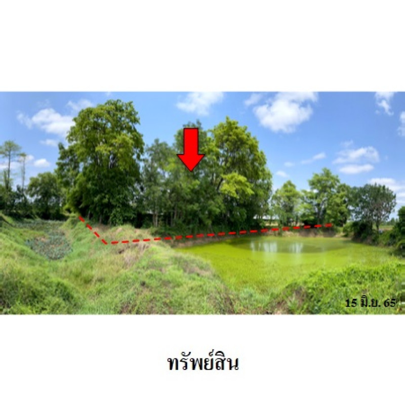 Misc. Nakhon Ratchasima Kham Thale So Nong Suang 6650000