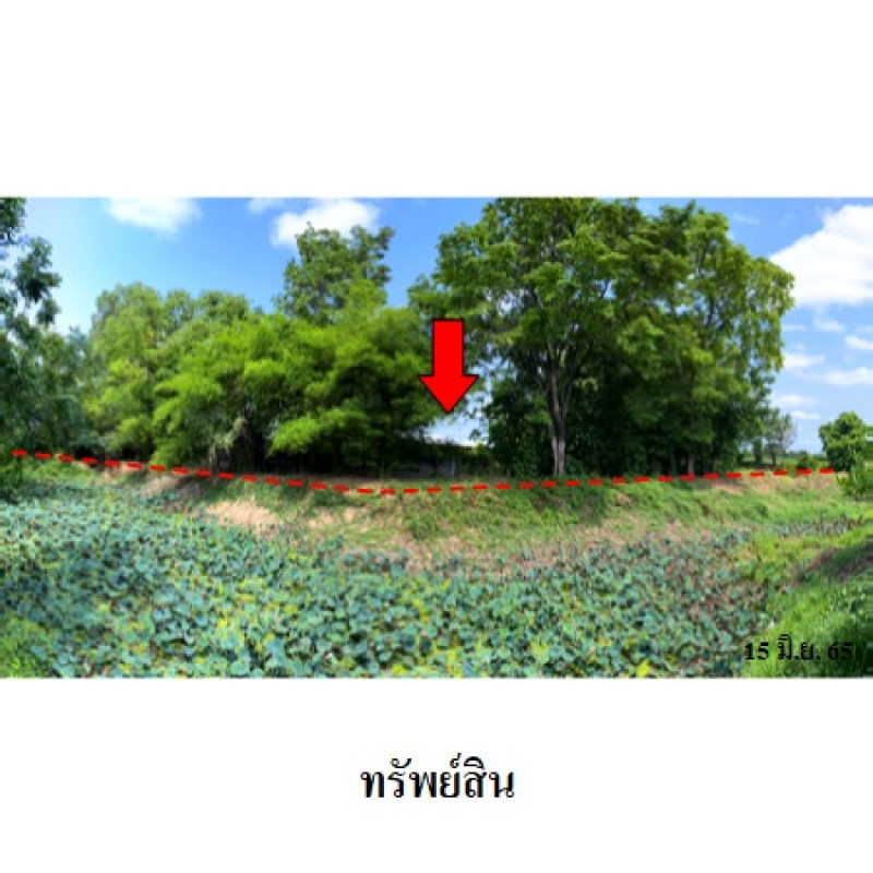 Misc. Nakhon Ratchasima Kham Thale So Nong Suang 6650000
