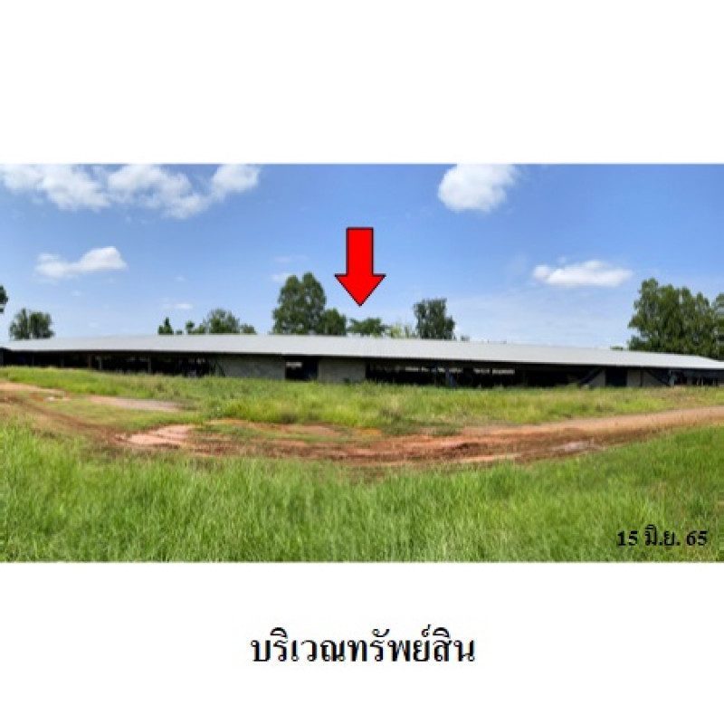Misc. Nakhon Ratchasima Kham Thale So Nong Suang 6650000