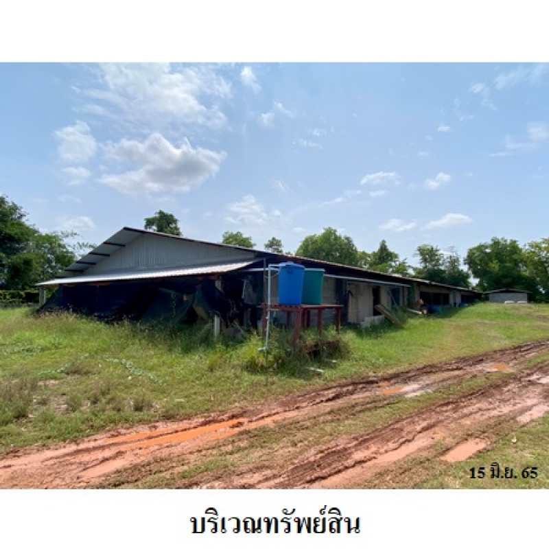 Misc. Nakhon Ratchasima Kham Thale So Nong Suang 6650000