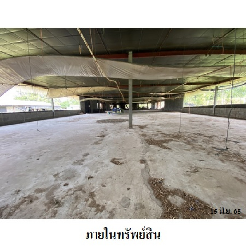 Misc. Nakhon Ratchasima Kham Thale So Nong Suang 6650000