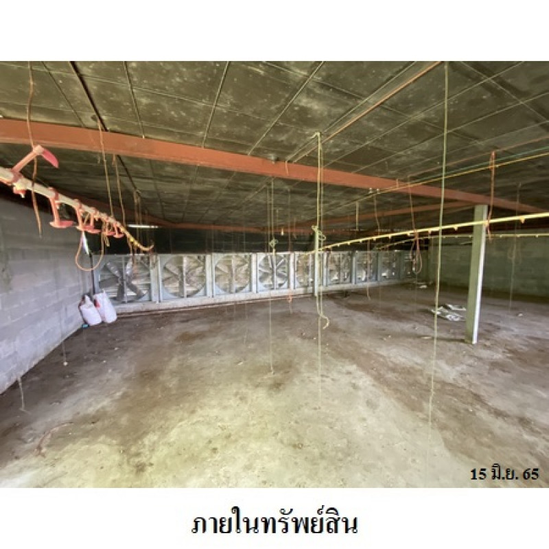 Misc. Nakhon Ratchasima Kham Thale So Nong Suang 6650000