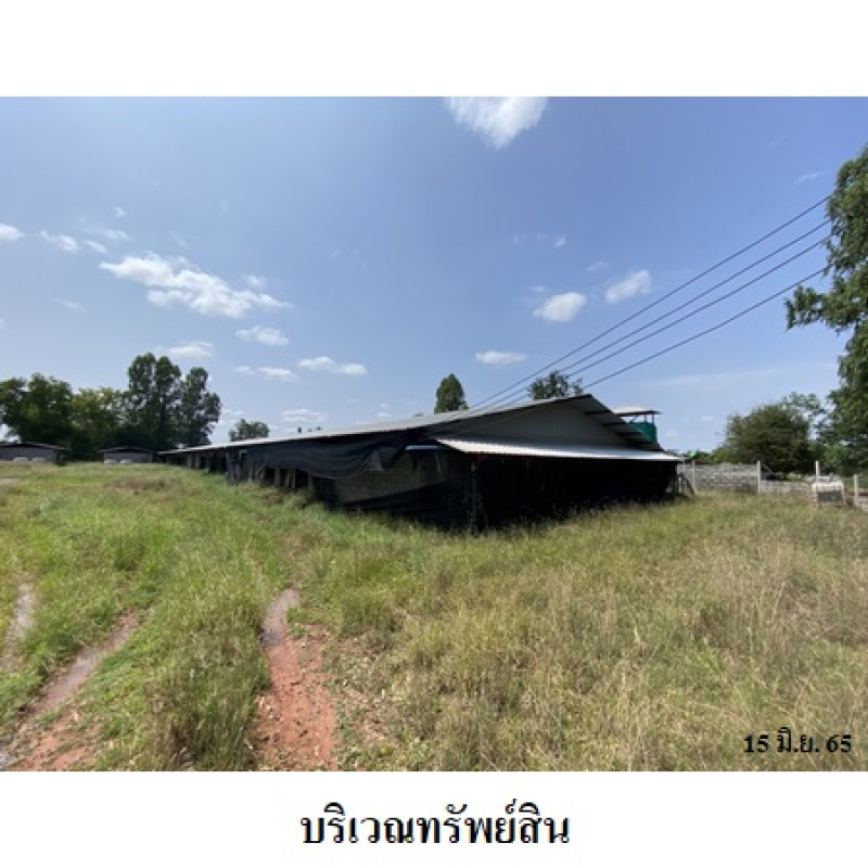 Misc. Nakhon Ratchasima Kham Thale So Nong Suang 6650000