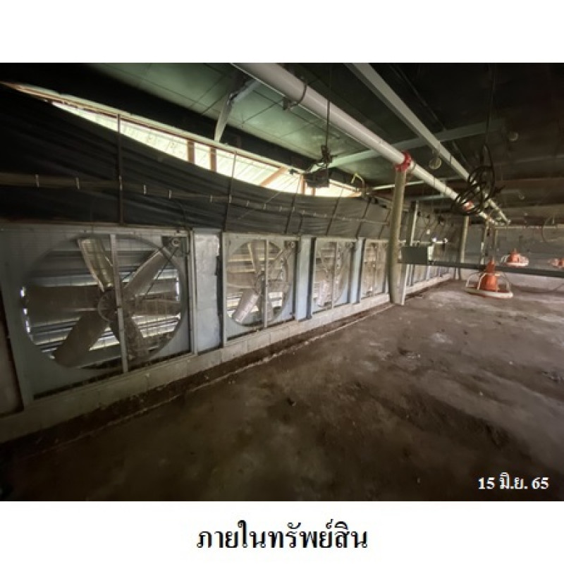 Misc. Nakhon Ratchasima Kham Thale So Nong Suang 6650000