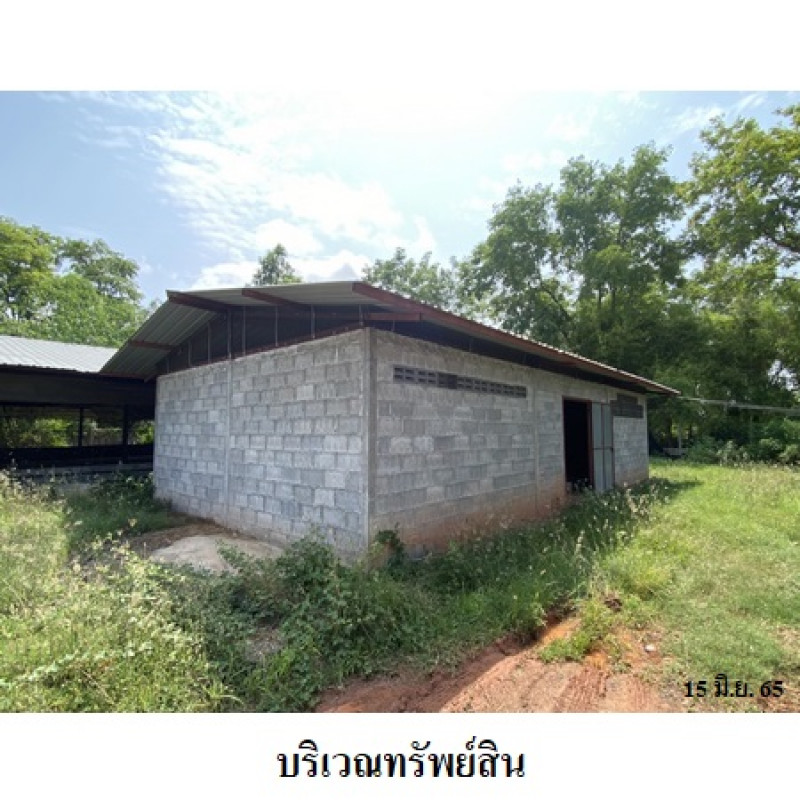 Misc. Nakhon Ratchasima Kham Thale So Nong Suang 6650000