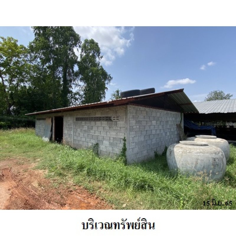 Misc. Nakhon Ratchasima Kham Thale So Nong Suang 6650000