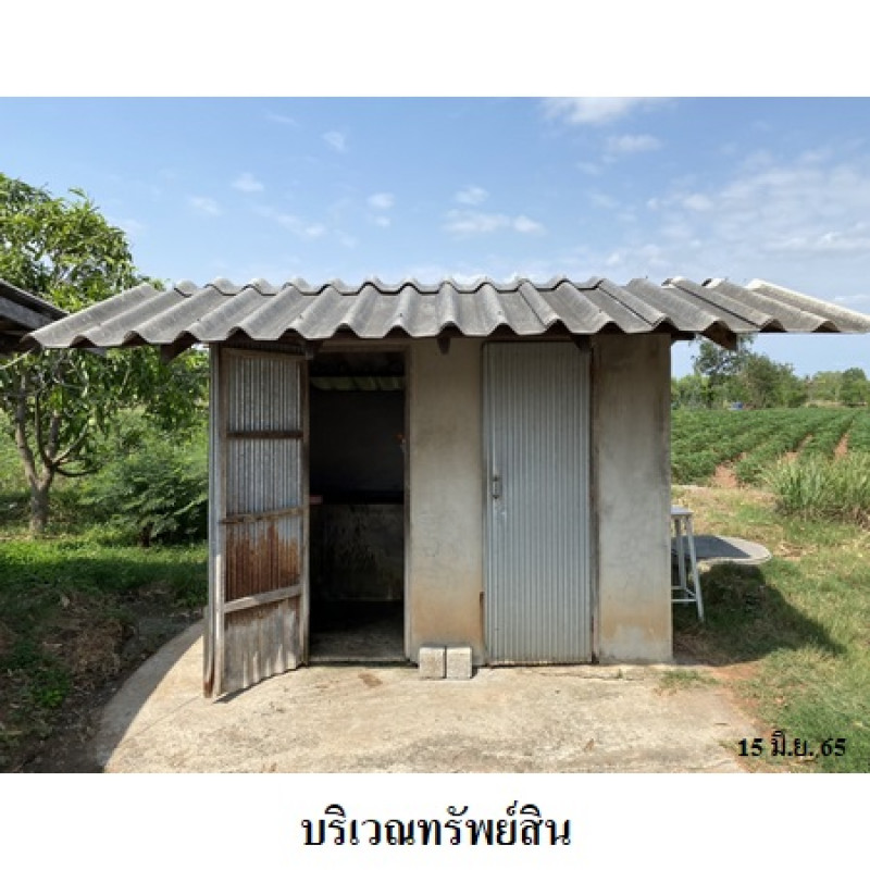 Misc. Nakhon Ratchasima Kham Thale So Nong Suang 6650000