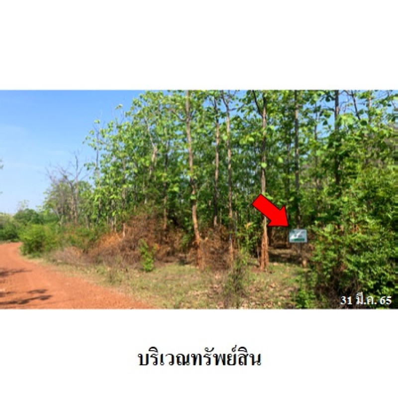 ที่ดินเปล่า นครสวรรค์ พยุหะคีรี เขากะลา 303000