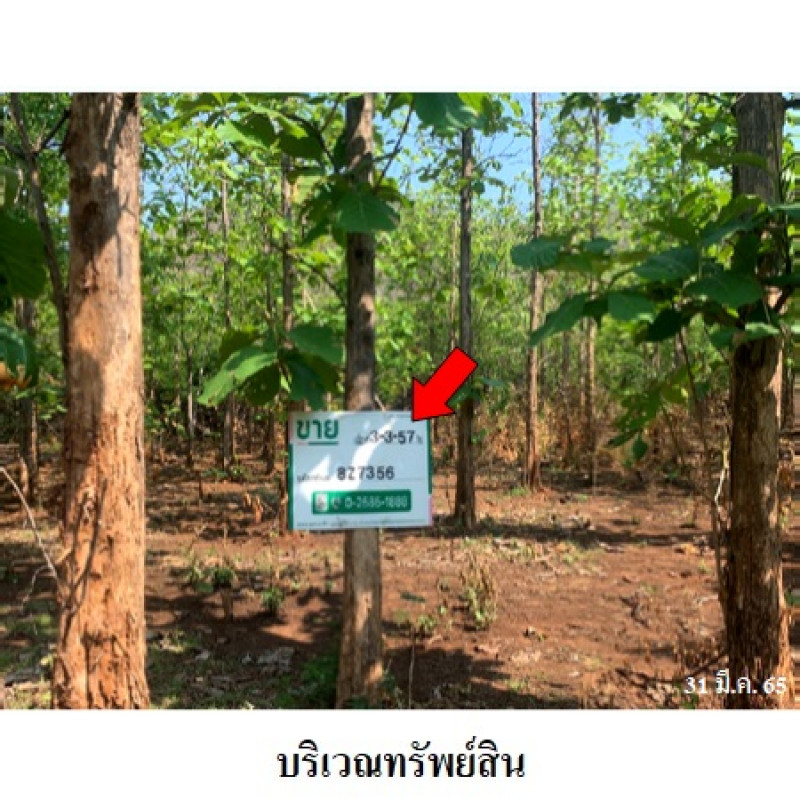 ที่ดินเปล่า นครสวรรค์ พยุหะคีรี เขากะลา 303000